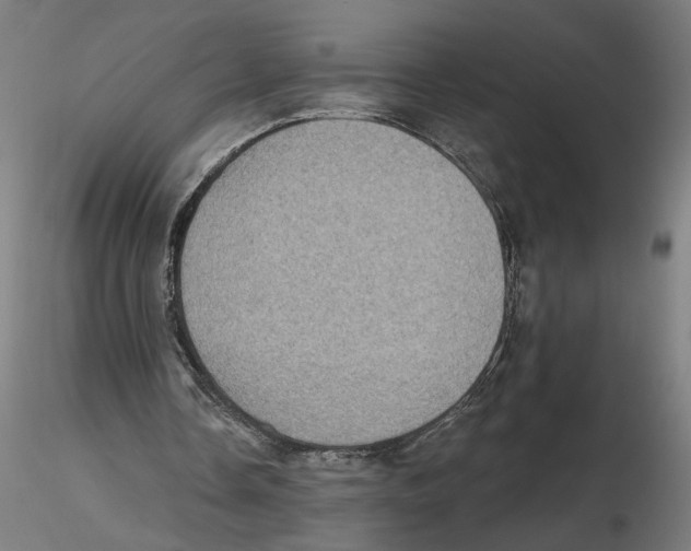 X0000116490338201001061146