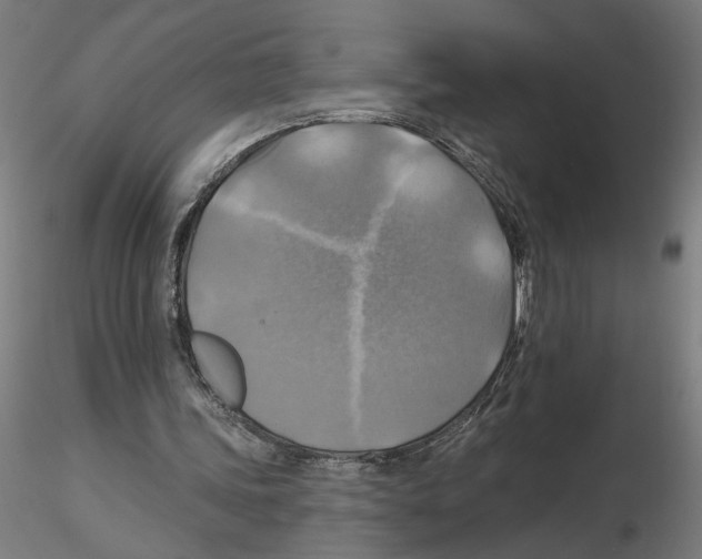 X0000116490339201001061146