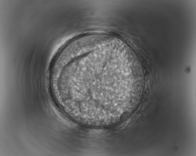 X0000116490342201001061146