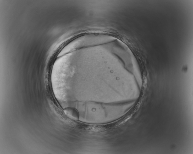 X0000116490343201001061146