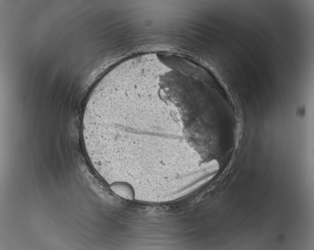 X0000116490345201001061146