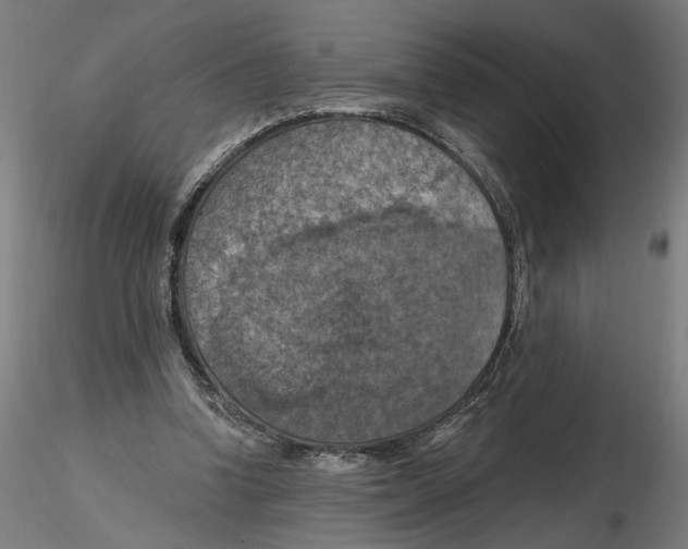 X0000116490346201001061146