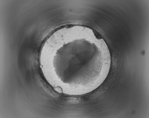 X0000116490347201001061146