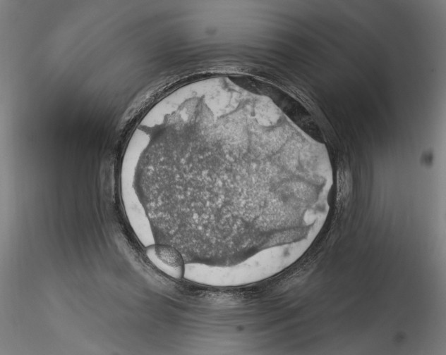 X0000116490349201001061146