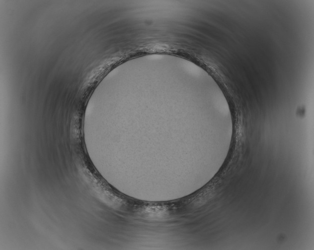 X0000116490353201001061146