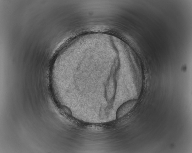 X0000116490354201001061146