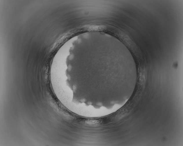 X0000116490357201001061146