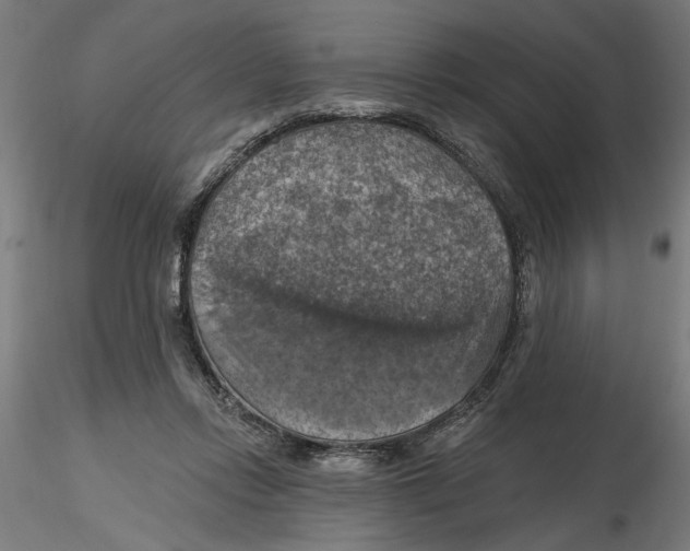 X0000116490358201001061146