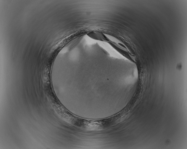 X0000116490359201001061146