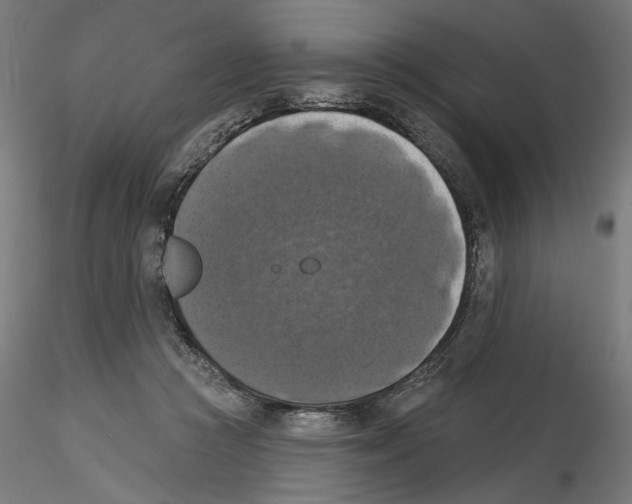 X0000116490361201001061146