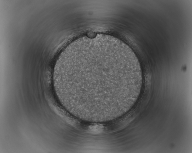 X0000116490362201001061146