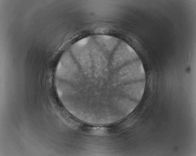 X0000116490363201001061146