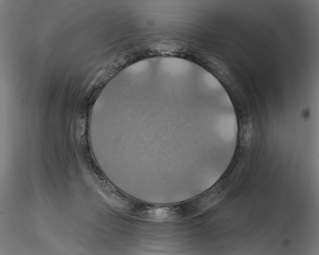 X0000116490365201001061146