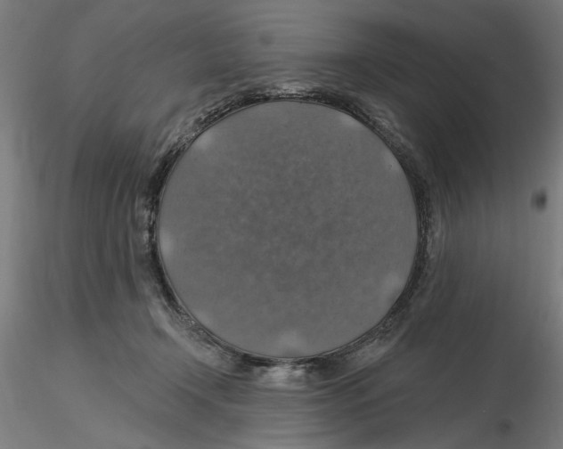 X0000116490366201001061146