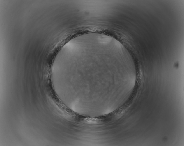 X0000116490367201001061146