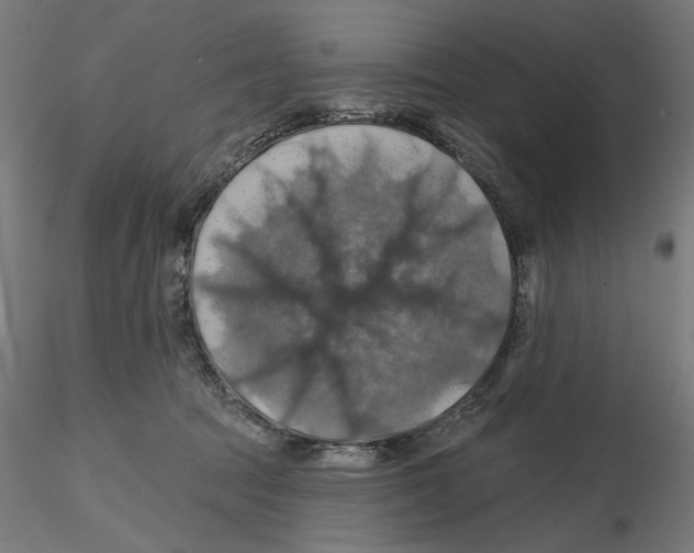 X0000116490369201001061146