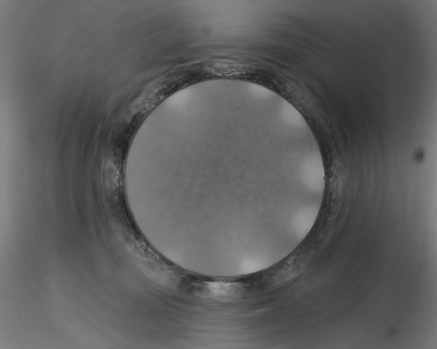 X0000116490371201001061146