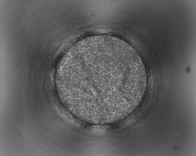 X0000116490373201001061146