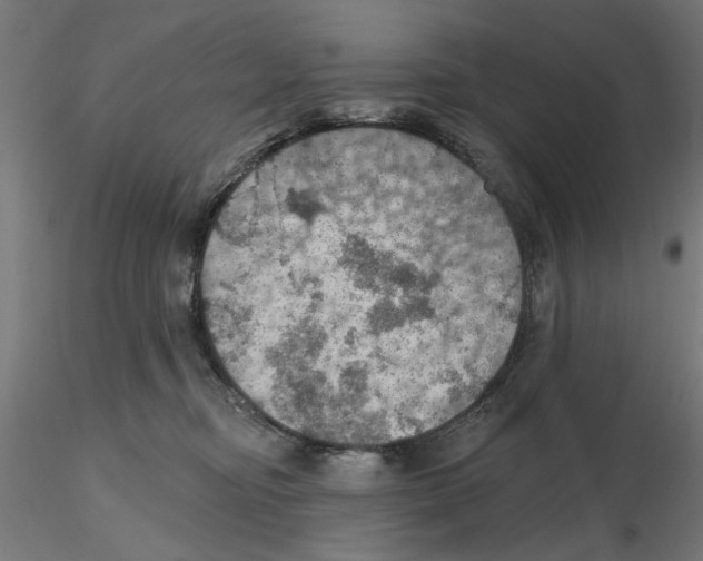 X0000116490374201001061146