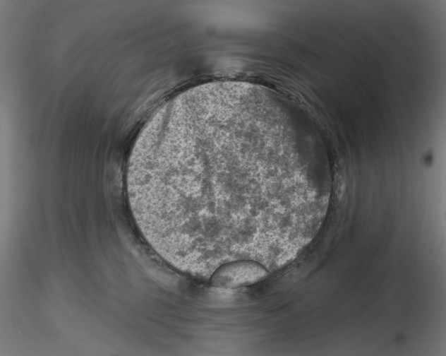 X0000116490375201001061146