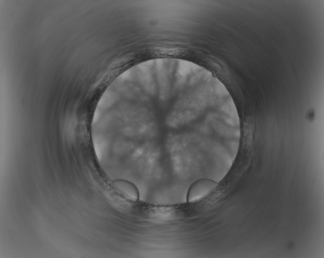 X0000116490377201001061146