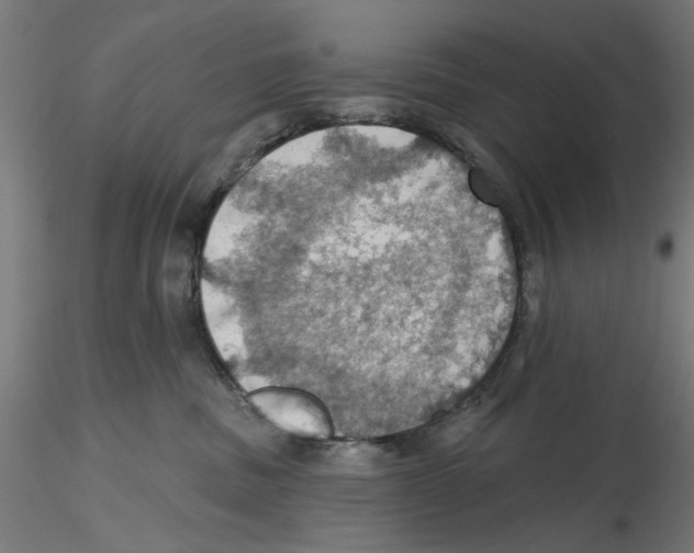 X0000116490379201001061146