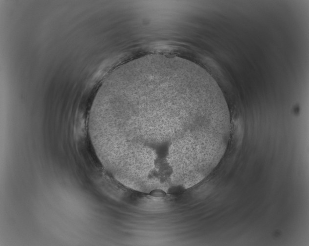 X0000116490381201001061146