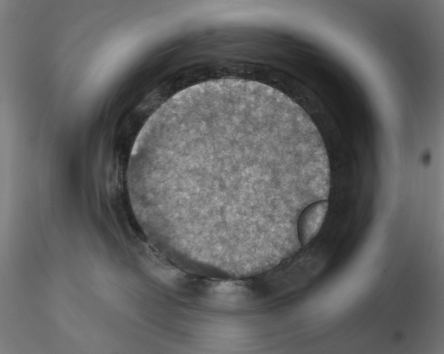 X0000116490382201001061146