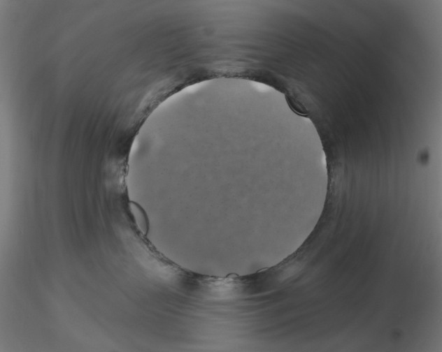 X0000116490383201001061146