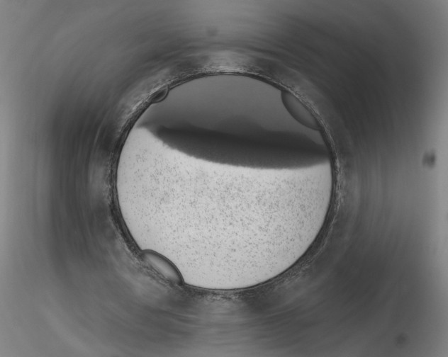 X0000116490386201001061146