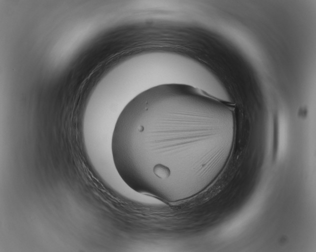 X0000116490387201001061146