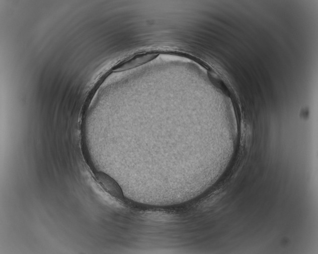 X0000116490389201001061145