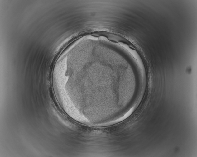 X0000116490390201001061145