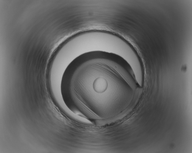 X0000116490391201001061145