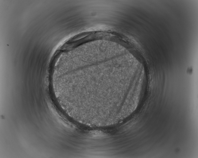 X0000116490392201001061145