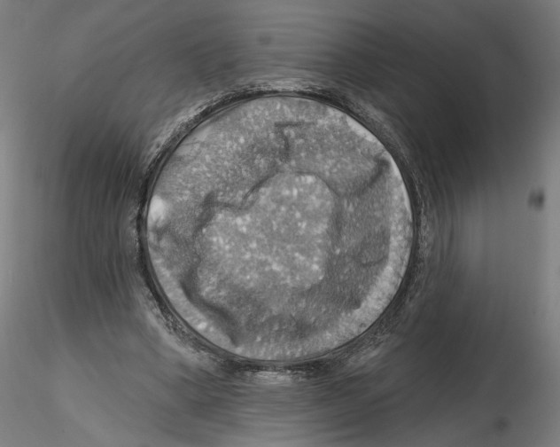 X0000116490394201001061145