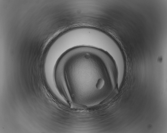 X0000116490395201001061145