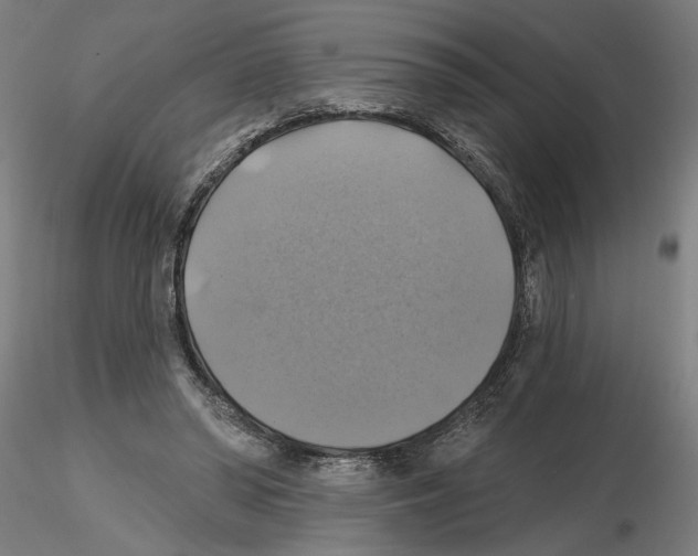 X0000116490398201001061145