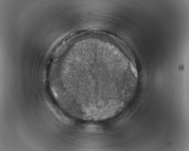 X0000116490400201001061145