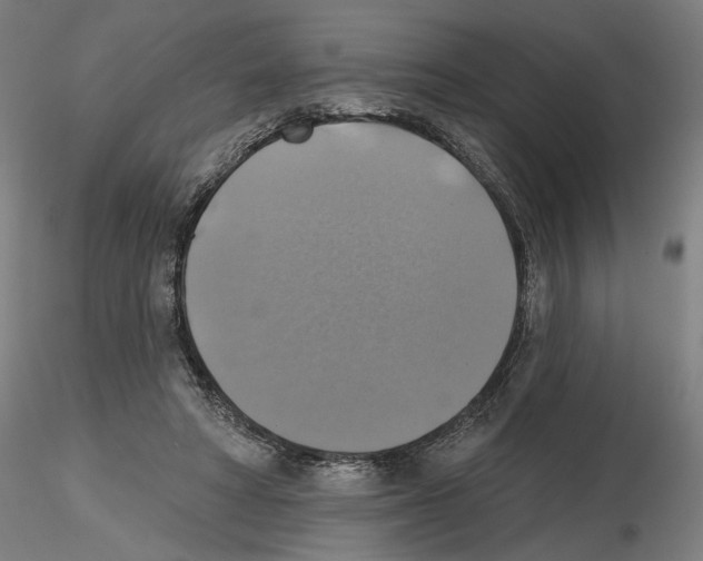 X0000116490402201001061145