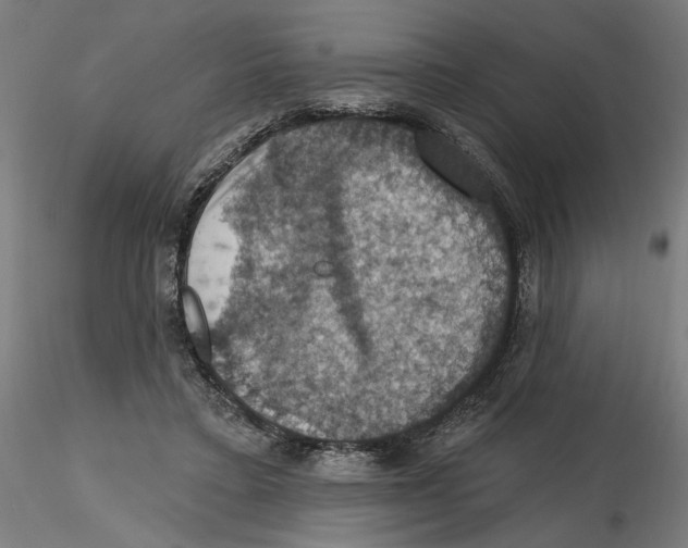 X0000116490403201001061145