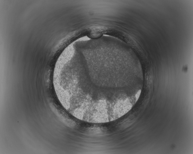 X0000116490404201001061145