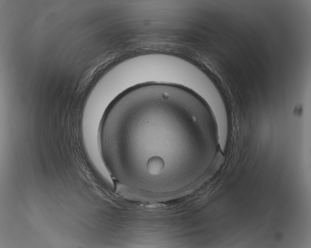 X0000116490407201001061145