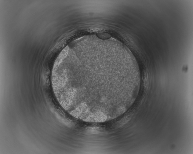 X0000116490408201001061145