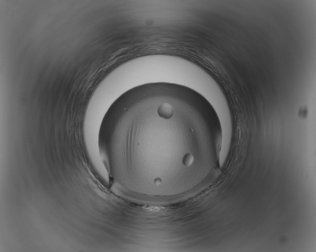 X0000116490409201001061145