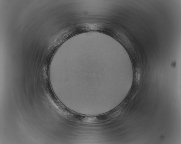 X0000116490410201001061145