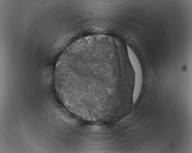 X0000116490412201001061145