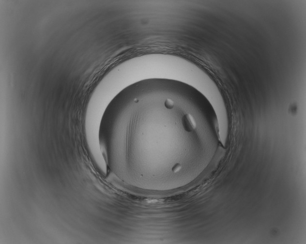 X0000116490413201001061145