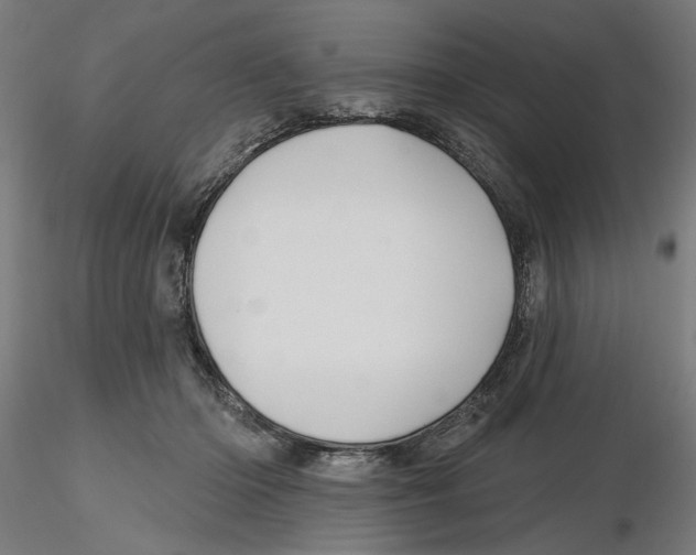 X0000116490414201001061145