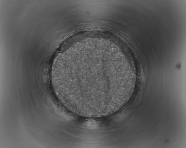 X0000116490416201001061145